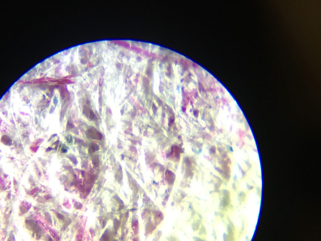 Handmade paper magnified to show lignin fibers stained with phloroglucinol
