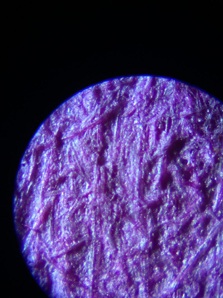 magnified image of newsprint stained purple by phloroglucinol