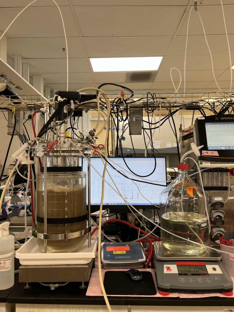 Pow-Bio continuous bioreactor